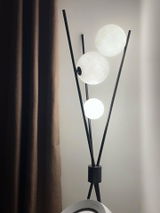 Paul Adams review photo