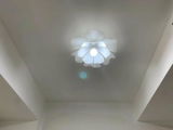 ,kimberley hollins review photo