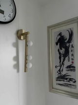 ZhangChenji review photo