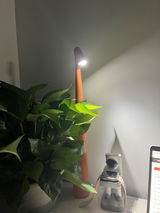 Jenean review photo