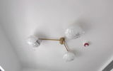 Wilshire Dasher review photo