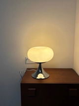Eileen Hollins review photo