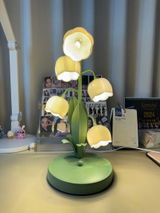Mackey review photo