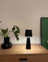 KiwiMaster review photo
