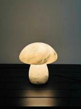Damon Weatherby review photo