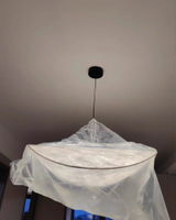 Alexandra Kuddes review photo
