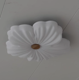 Emiliano review photo