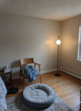 Lincoln Adams review photo