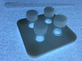 Y.t. review photo