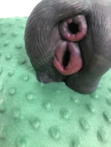 Anonymous review photo