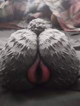 ItsJustKorbin review photo