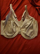 LadyT8619 review photo
