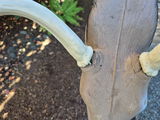 Marcel M review photo