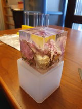 Milena review photo