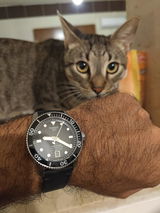 Rashed B. review photo