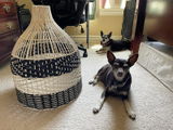 Michelle Beckwith review photo