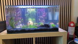 Dominik S review photo