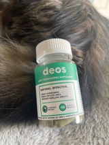 Alexis V. review photo