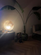 Helma Paters review photo