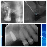 Dr. Filip Ambrosio review photo