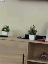 Sandeep P. review photo
