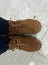 Elif Y. review photo