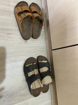 M. S. review photo