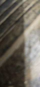 S. K. review photo