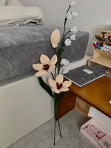 Beyza review photo