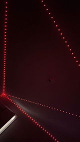 Larissa Pires review photo