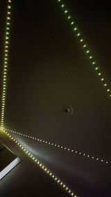 Larissa Pires review photo
