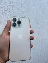 Pedro review photo