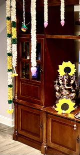 Sharmila Varadarajan review photo
