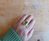 C.V. review photo