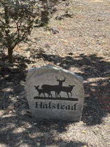 Susan Halstead review photo