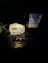Joyce Stull review photo
