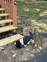 Kimberly R Bruner review photo
