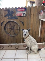 Etsy customer review photo