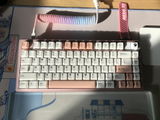 Jiaqi Z. review photo