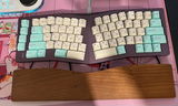 S review photo