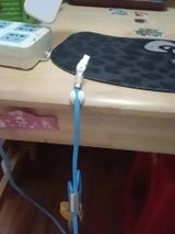 Ryan review photo
