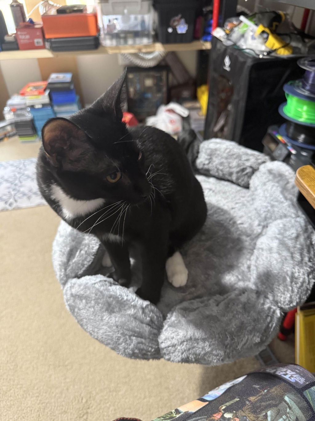 DeskPurrch Cat Bed