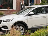 Andries van der Wal review photo