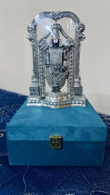 naveen tirumala review photo