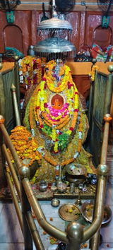 Ajit Pratap Singh review photo