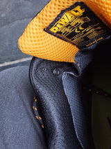 robert b. review photo