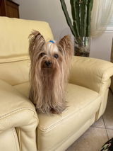 Maryline DEPRE review photo