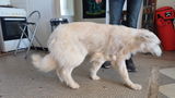Lydie Weis review photo