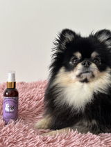 Laetitia Martini review photo