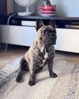 Stan review photo
